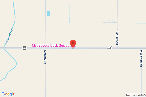 Megabucks Duck Guides