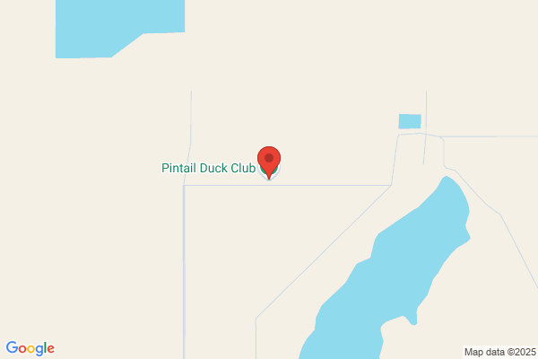 Pintail Roost Duck Camp
