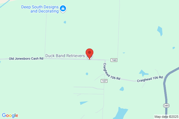 Duck Band Retrievers Inc