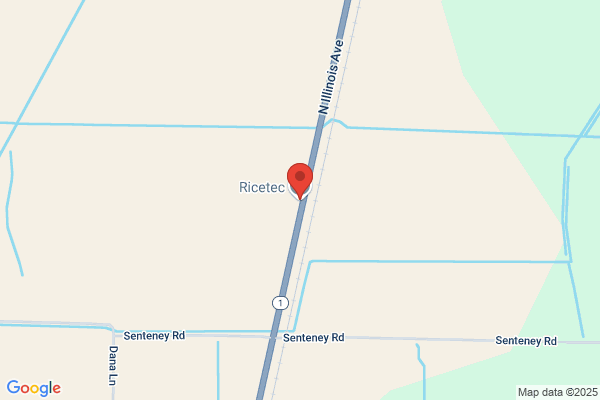 Rice Tec Inc