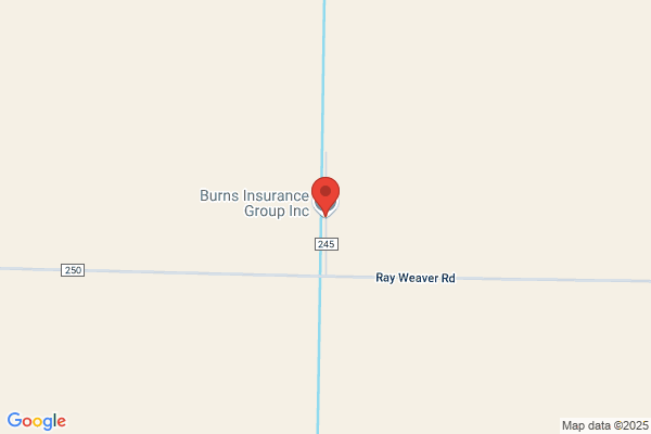 Burns Insurance Group
