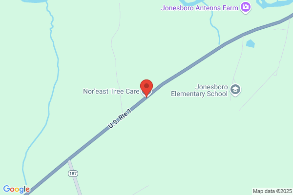 Nor' East Tree Care Inc