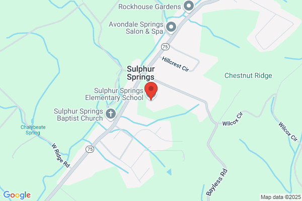 Sulphur Springs School