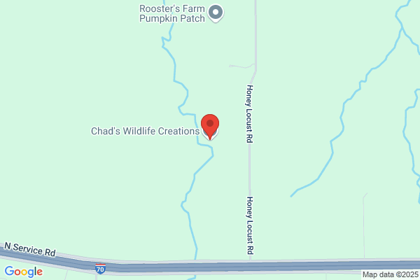 Chad's Wildlife Creations