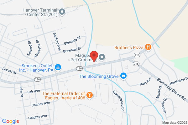 Interstate Auto & Truck Appearance