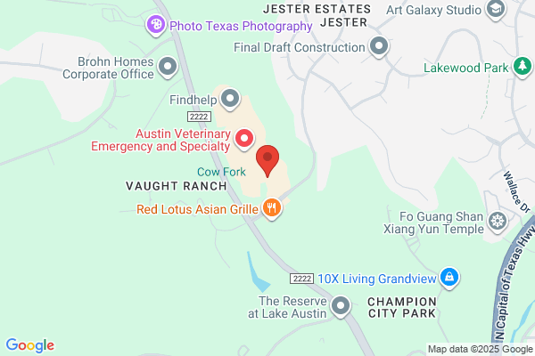 PHP Agency, Austin, TX