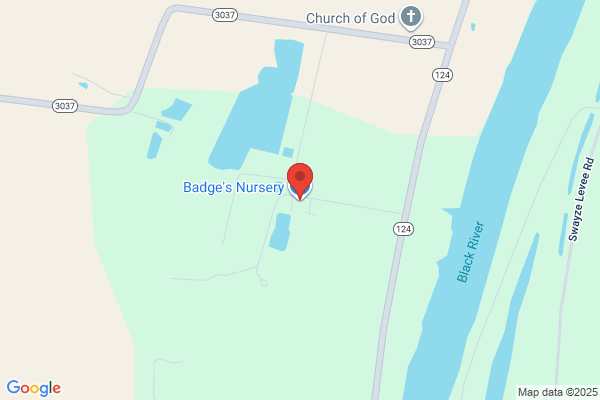 Badges Nursery