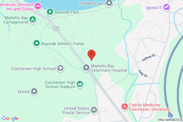 Colchester Town of, High School, Middle School