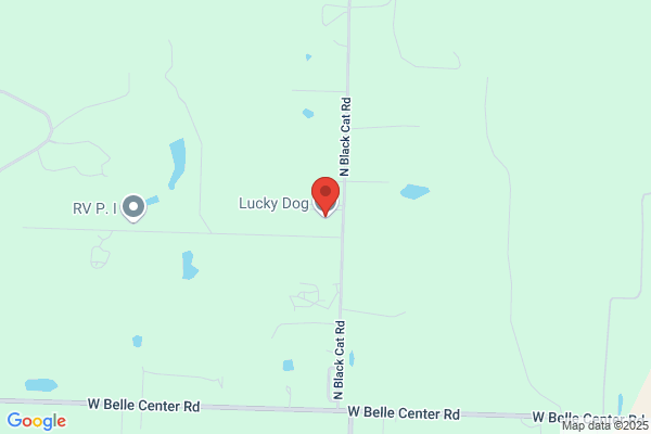 Lucky Dog Llc