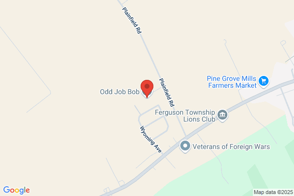 Odd Job Bob