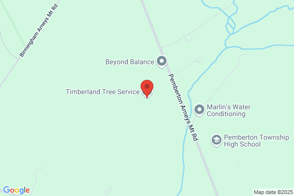 Timberland Tree service