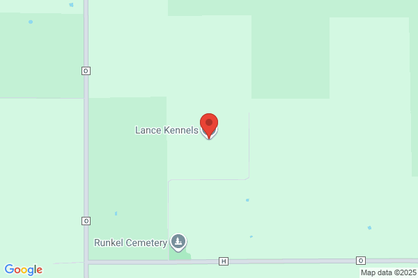 Lance Kennels, LLC
