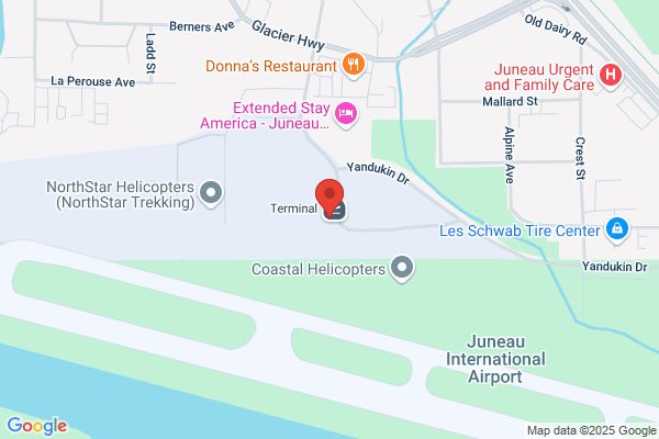 Avis Car Rental