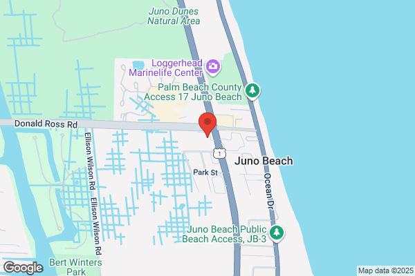 Juno Surf Shop