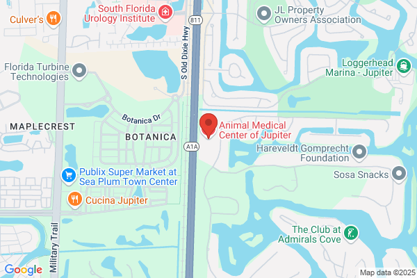 Animal Medical Center of Jupiter