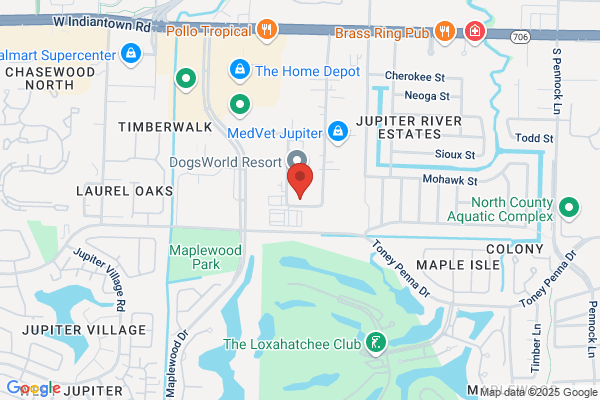 Jupiter Transmission Inc