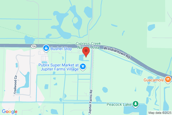 NAPA Auto Parts - Performance Auto Parts