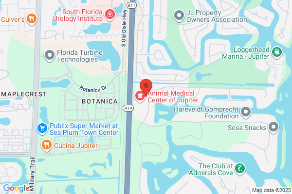 Dr. William Brogna, D.C.