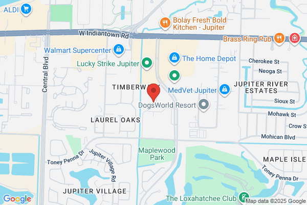 Dale Pediatric Dentistry