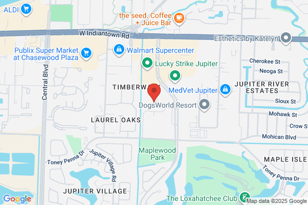 Dale Pediatric Dentistry
