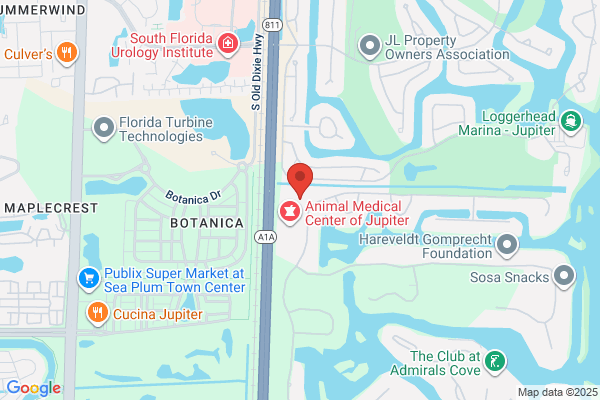 Jupiter Dentistry