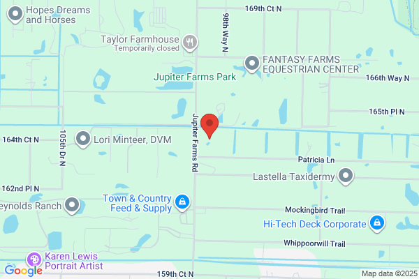 Lady Bug Landscape Services