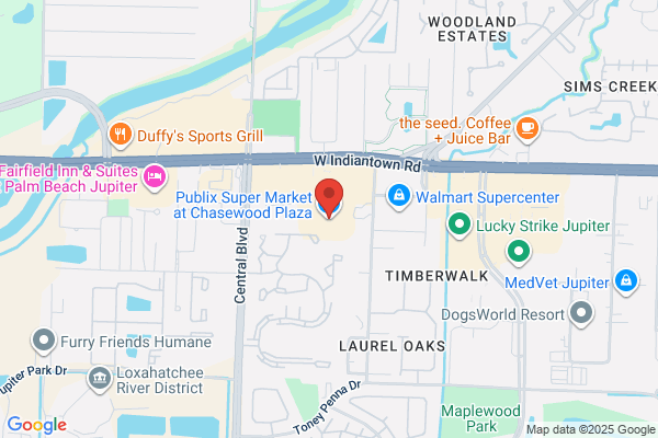 Publix Super Market at Chasewood Plaza