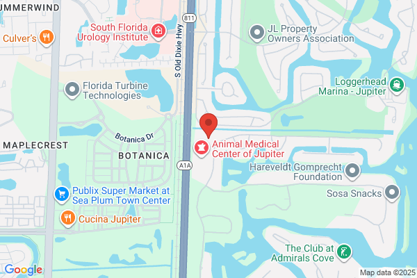 Palms Acupuncture and Wellness