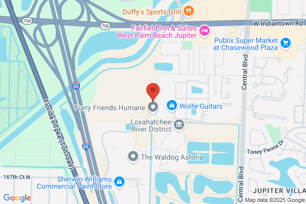 Lush Puppy Pet Resort