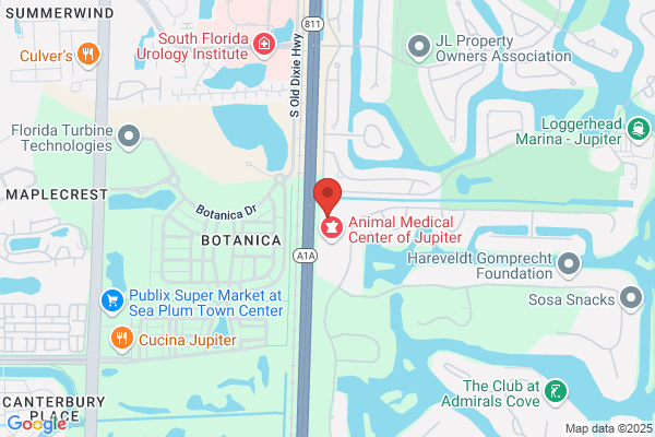GOLDCOAST PSYCHIATRY