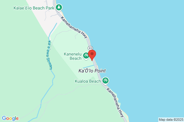 Aloha Surf tours