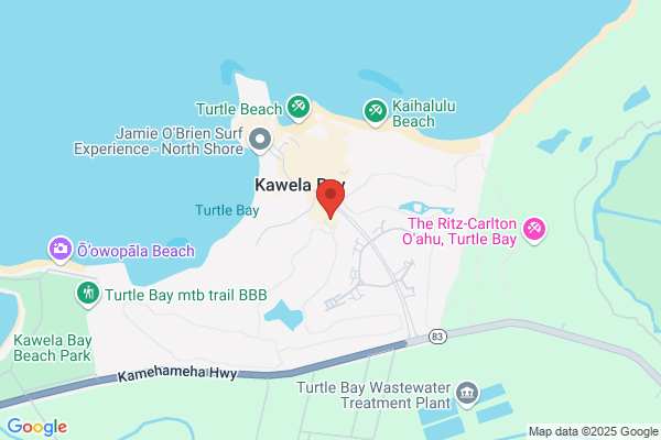 Turtle Bay Golf