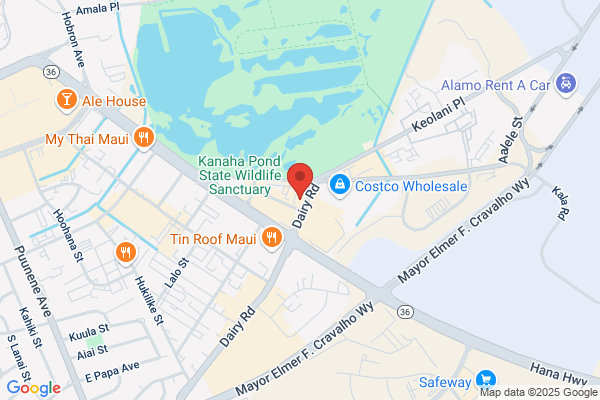 Little Hawaii Rent A Car