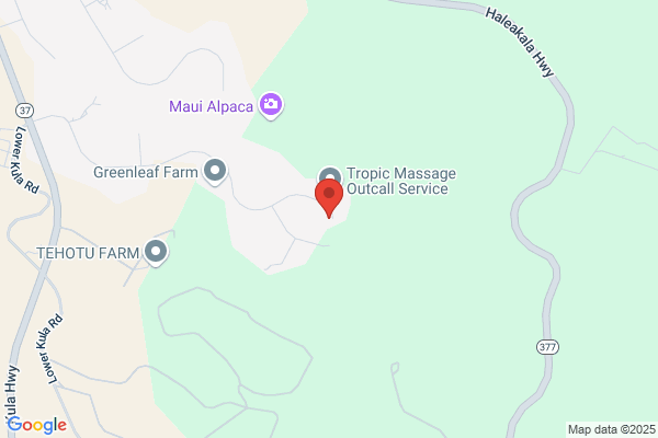 Haines J Glenn Dr MD