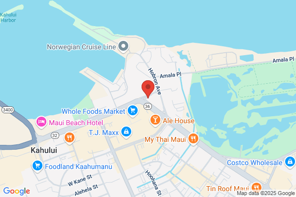 Maui Clinic Medical Center, Physicians