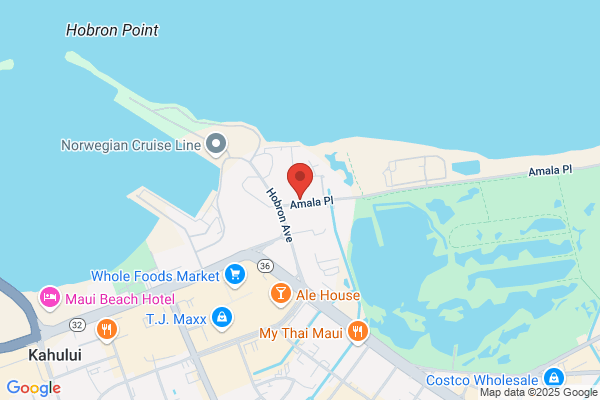 Maui Crane Services