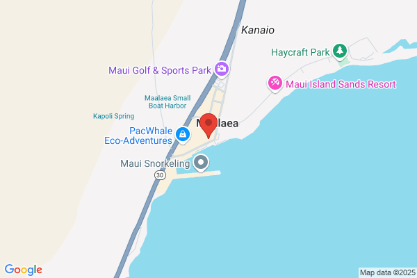 Mahana Nai'a Boat Charters