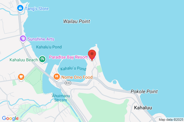 Paradise Resorts