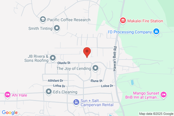Big Island Rinseout Carpet Cleaners