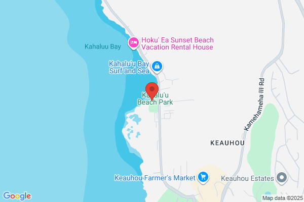Big Island Surf Co