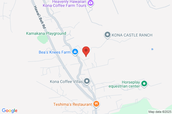 Hawaii Estates LLC