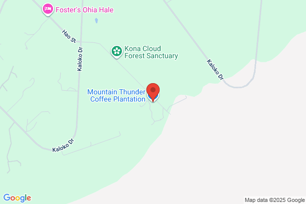 Mountain Thunder Coffee Plantation
