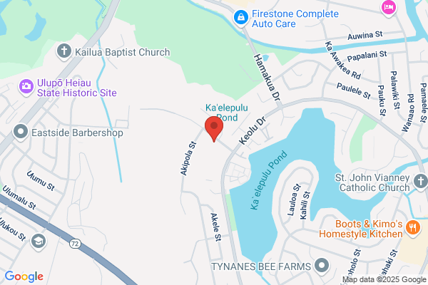 RapidDRY Kailua Carpet Cleaning & Water Damage