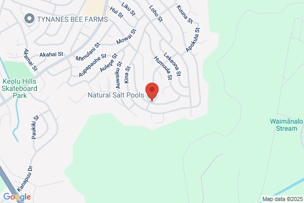 Natural Salt Pools LLC