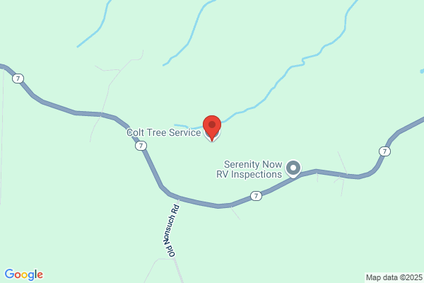 Central Tree Service Llc