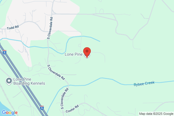 Lone Pine USA LLC