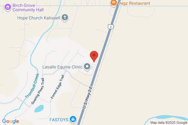 Central Valley Animal Hospital