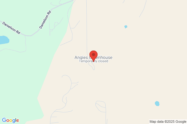 Angie's Greenhouse's Plant Care & Floral Design