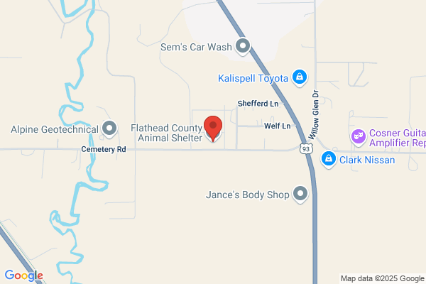 Flathead County, Animal Control