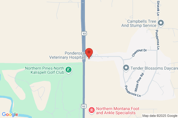 Ponderosa Veterinary Hospital
